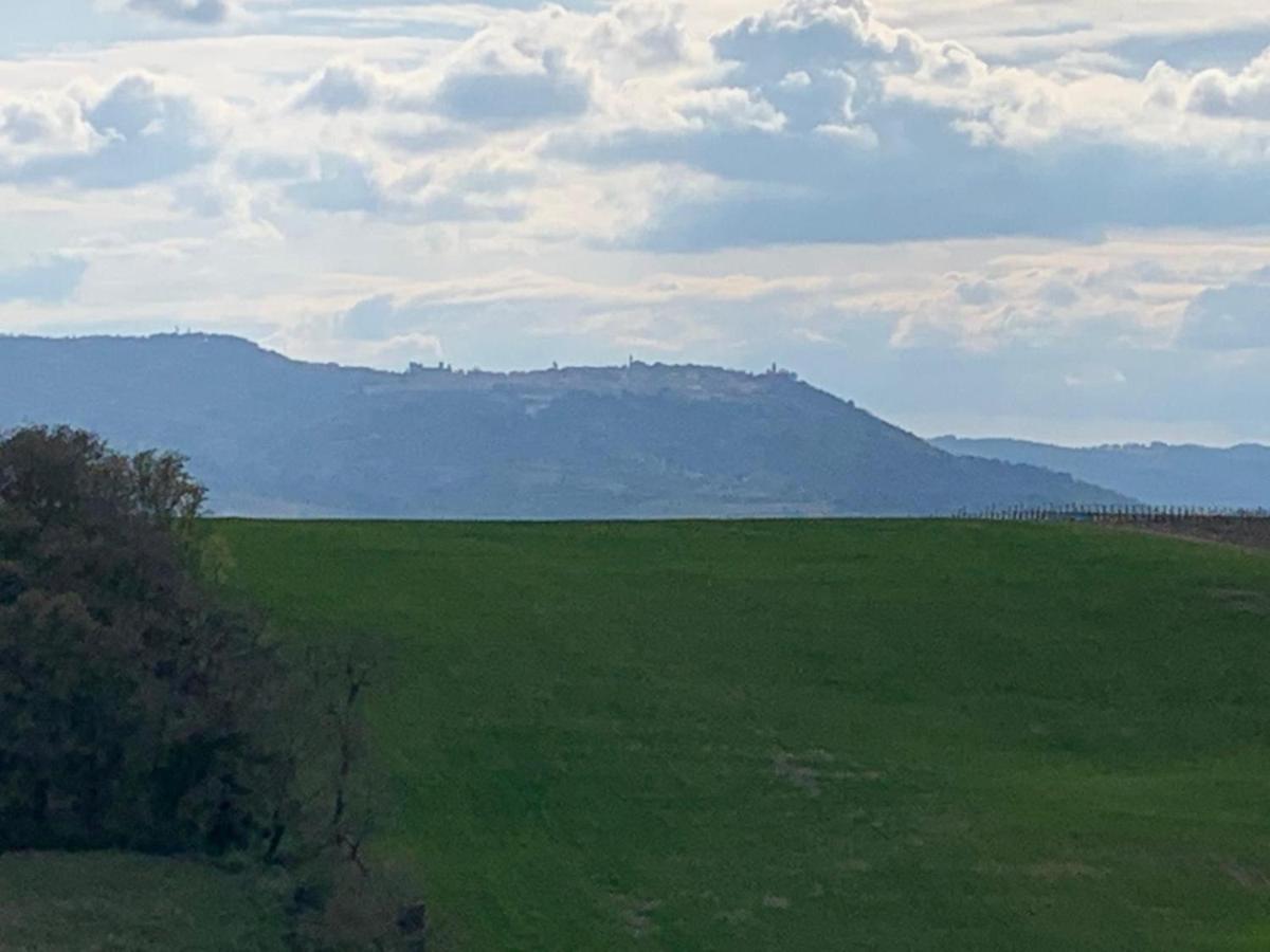 Cordella In Valdorcia Truffle&Olive Oil Resort Montalcino Esterno foto
