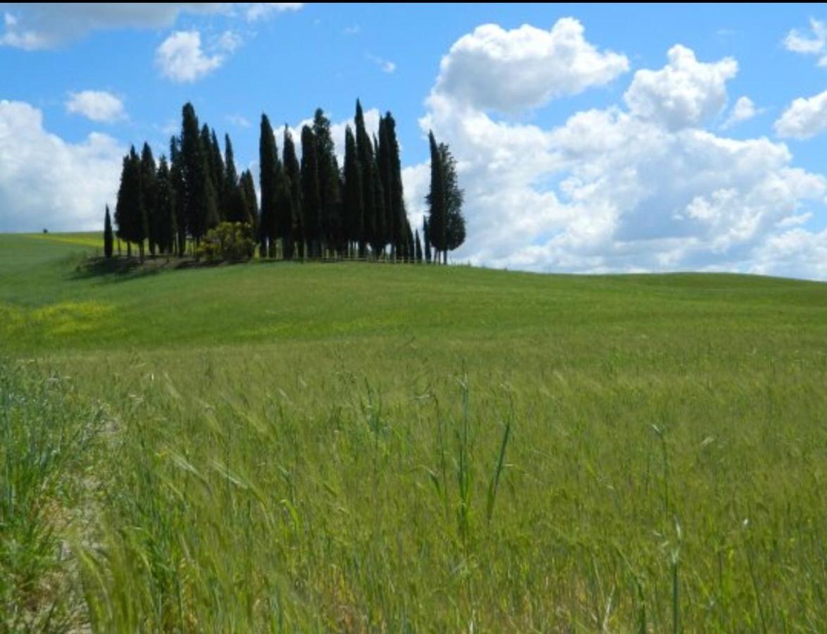 Cordella In Valdorcia Truffle&Olive Oil Resort Montalcino Esterno foto